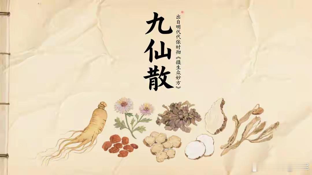 每日一剂名方：九仙散——敛肺止咳的益气良方在了解过理中丸温中健脾、修复脾胃虚