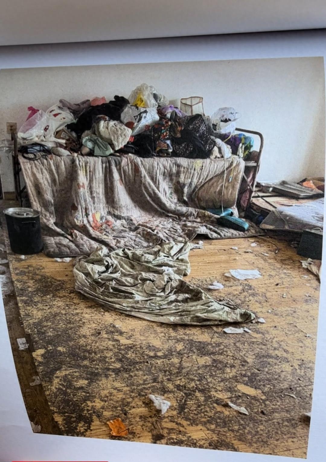 “遇见滚刀肉了！”陕西西安，情侣租客霸占女子房子一年多，还捡了十多条流浪狗养在她
