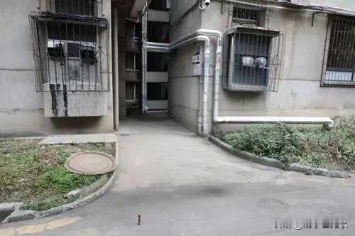 高龄养老的问题可能是不久的将来的一个大问题。北大老校长蒋梦麟的三个儿子都没有追