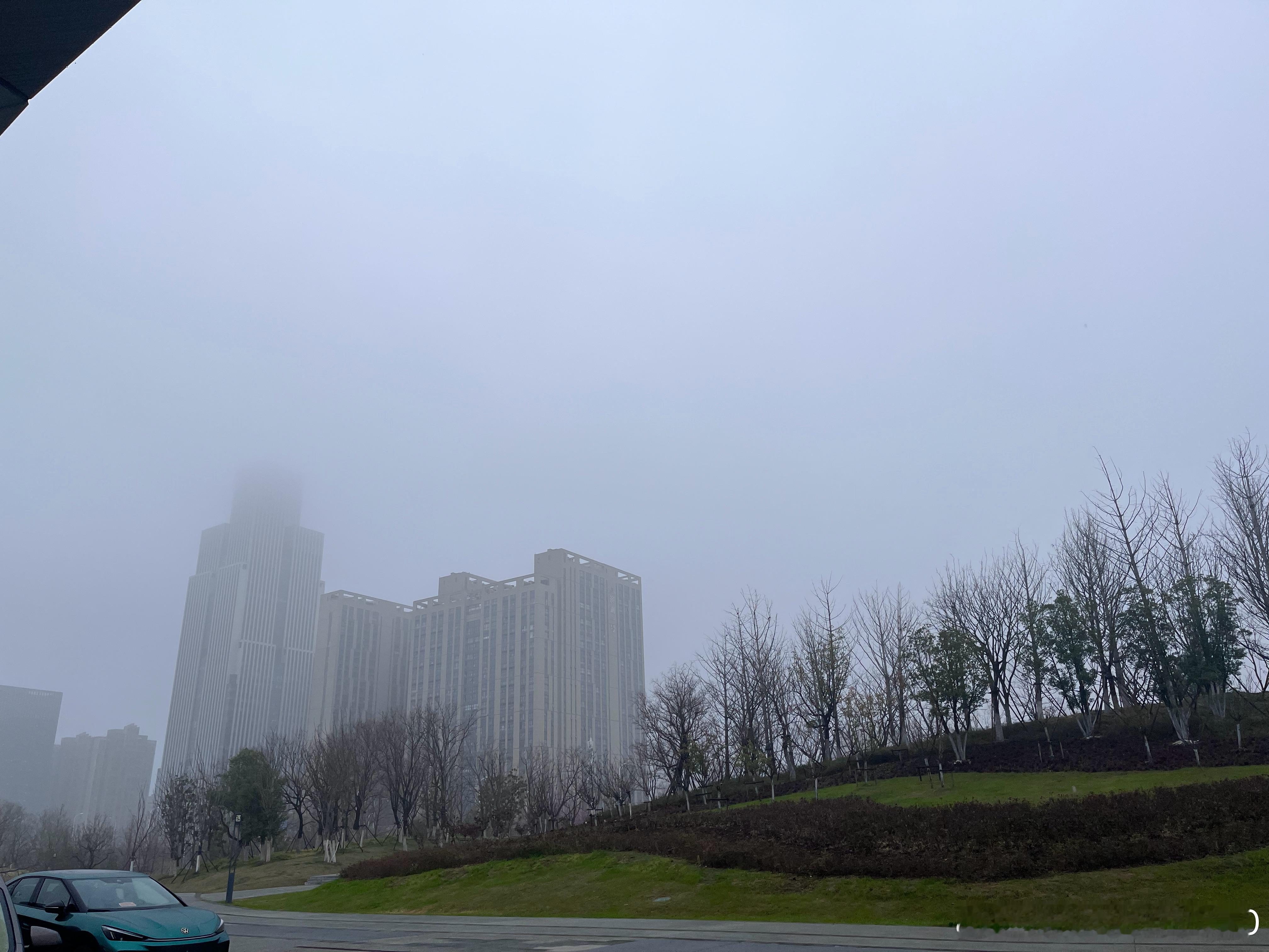 遇到合肥，遇上潮湿的雨天，鼻子也不干了，舒服极了合肥·骆岗公园
