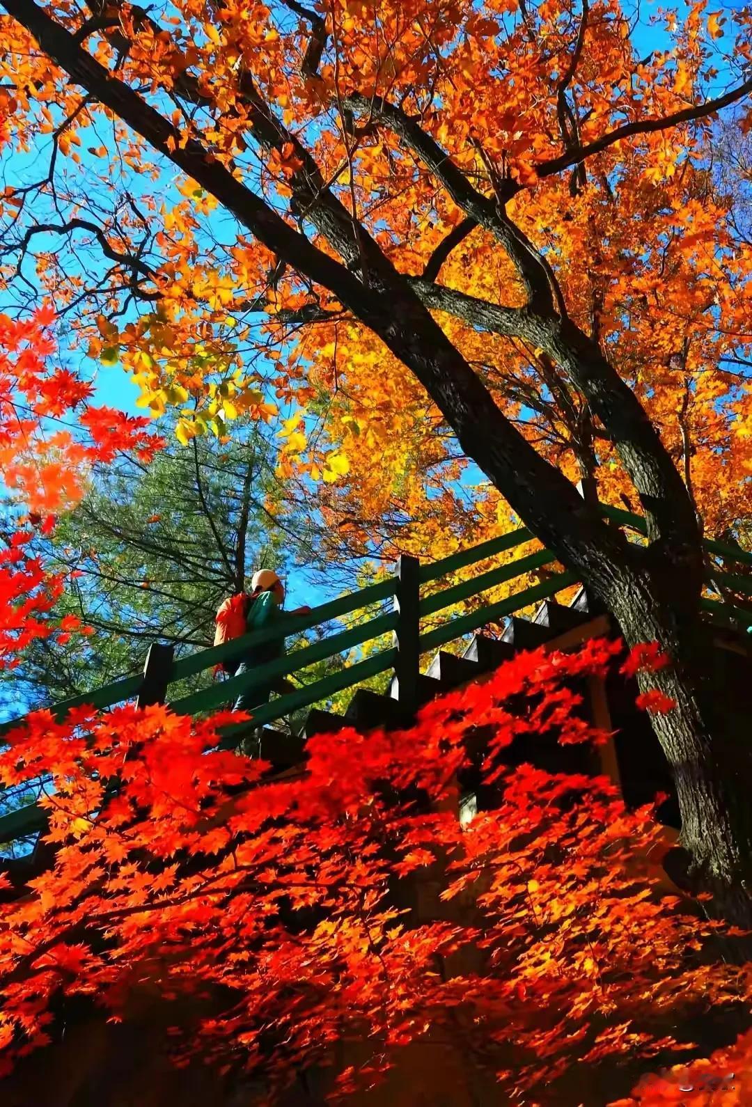 上联:红颜如花春日暖下联:君子似玉秋阳润横批:温润如玉