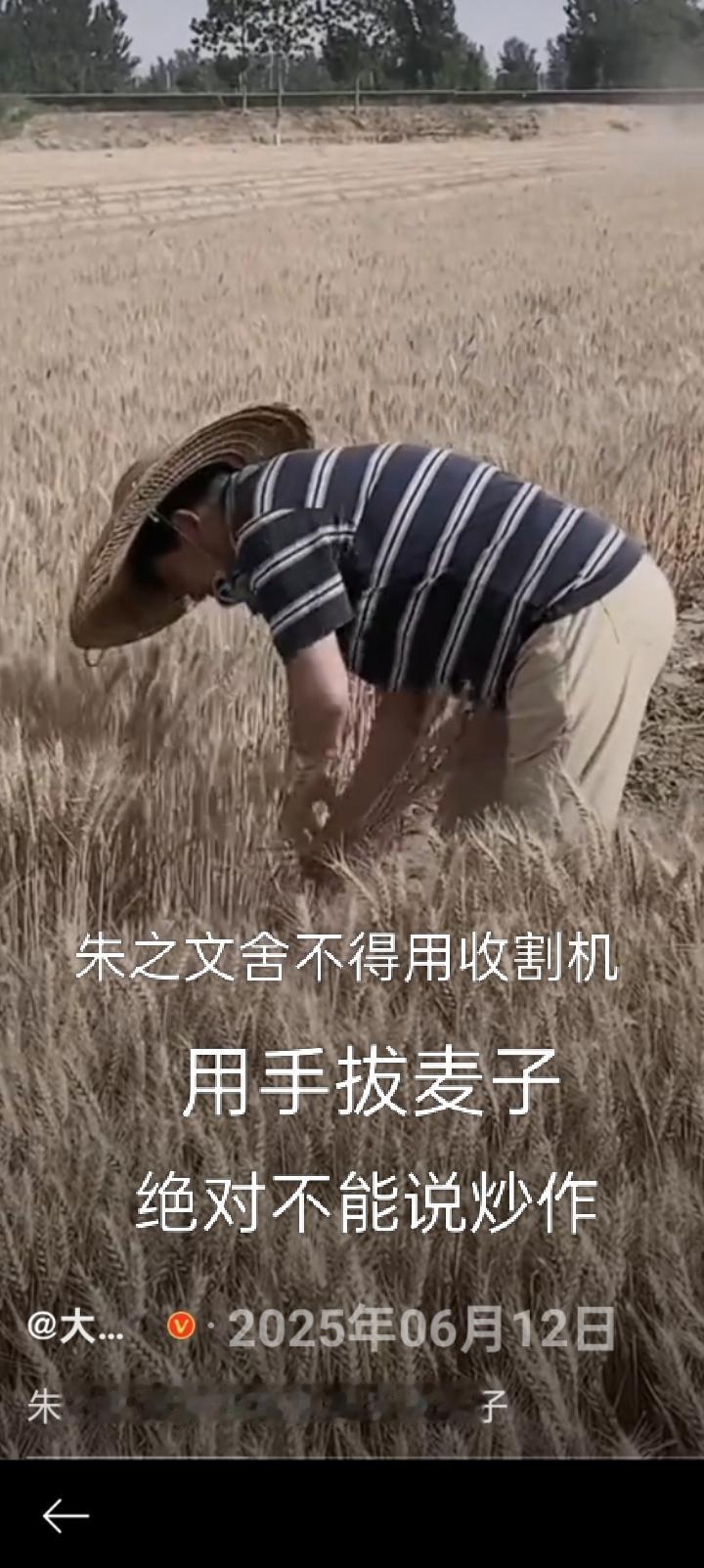 现在，网上有关朱之文的话题形成了两大派系，一边是看不惯朱之文每天摆拍，什么人工掰