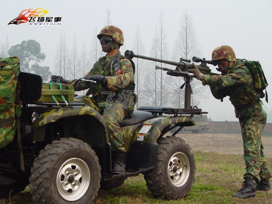 在大佬B站看到一张图，好家伙，印象中第一次看到这图，小海豚刚刚情窦初开