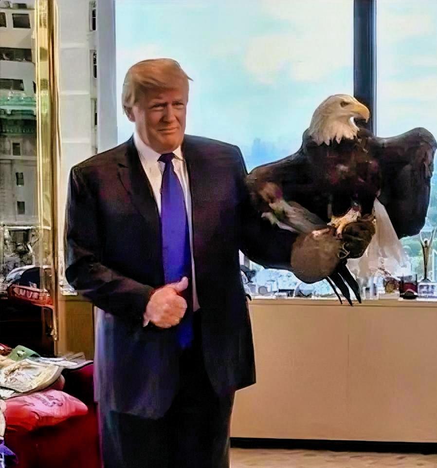 特朗普真的“疯”了。4月23日特朗普转发了一个侮辱中国人的帖子，该帖内容把印