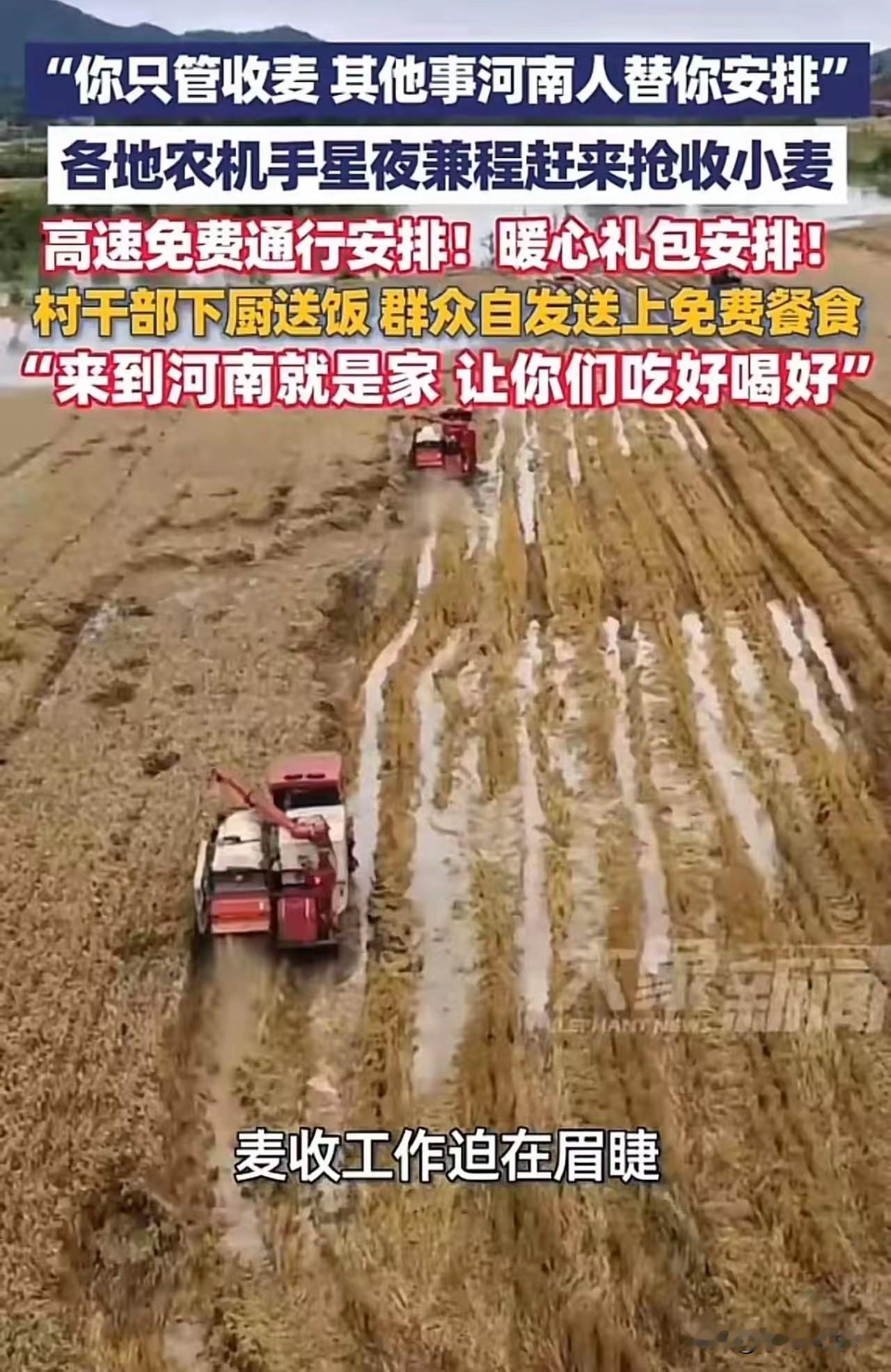 没有对比，就没有伤害！这是厚道的老家河南！农机手寒心离某地，向北到河南后直接破防