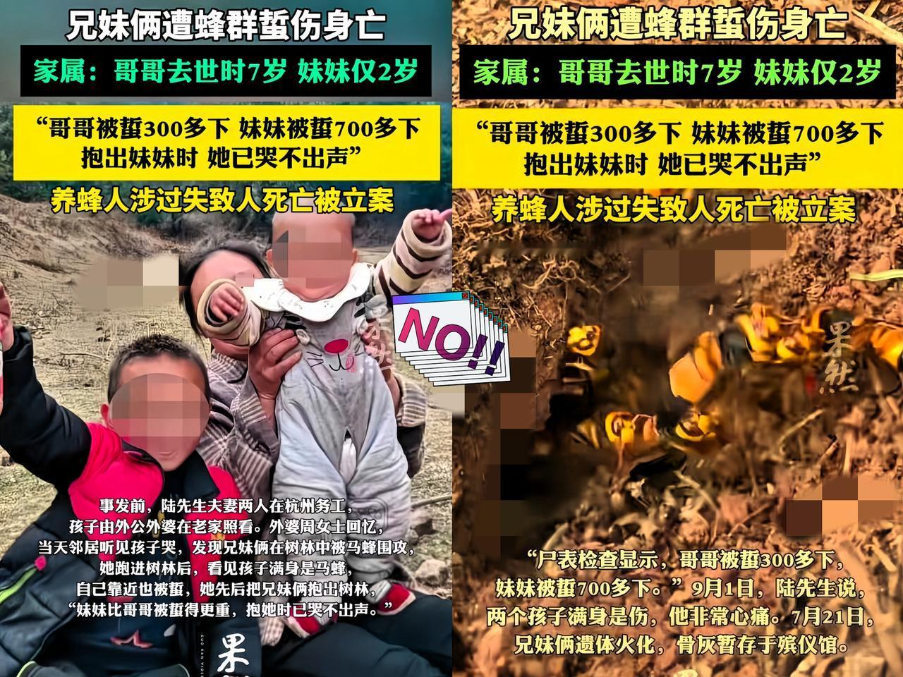 被马蜂蜇伤的兄妹俩，已火化了！哥哥7岁，妹妹2岁，父母在外地打工，连孩子最后一