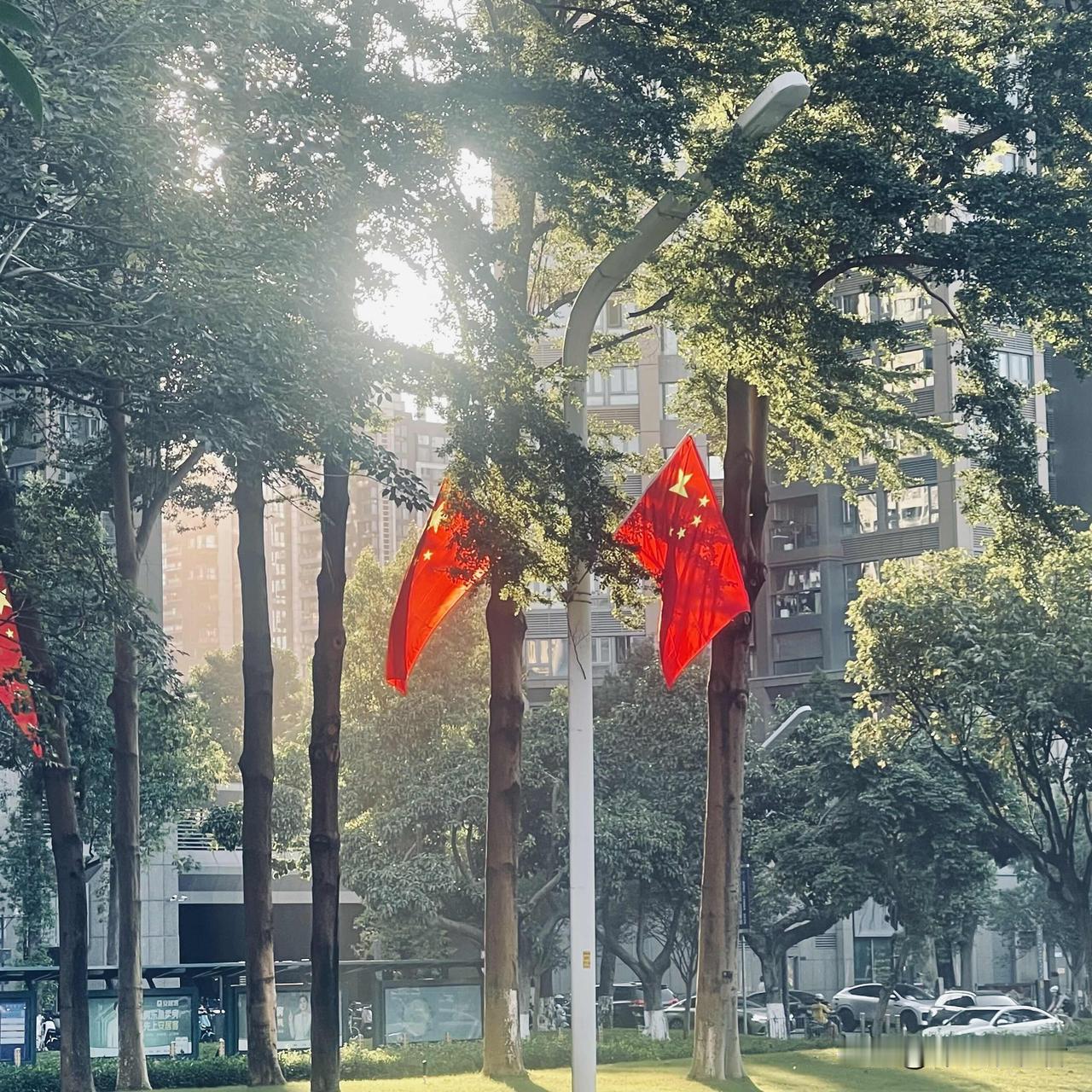 这是我第一次觉得深圳的国旗格外的鲜艳，特别的温暖，可能是今年11月，那场全球瞩目