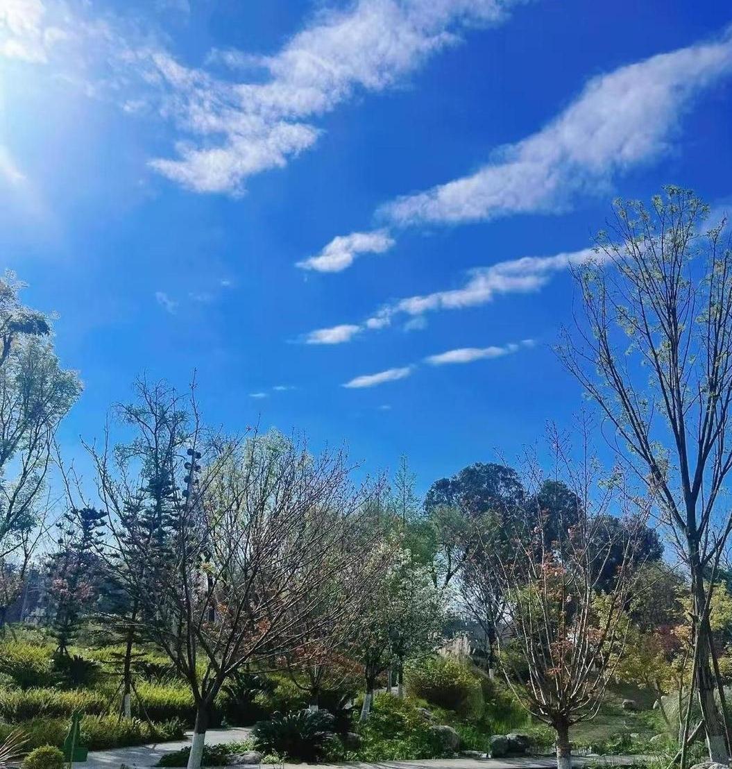 现在装修的人工费高的离谱！我大姐的儿子装修136平米，三室两卫的婚房，改水改电一