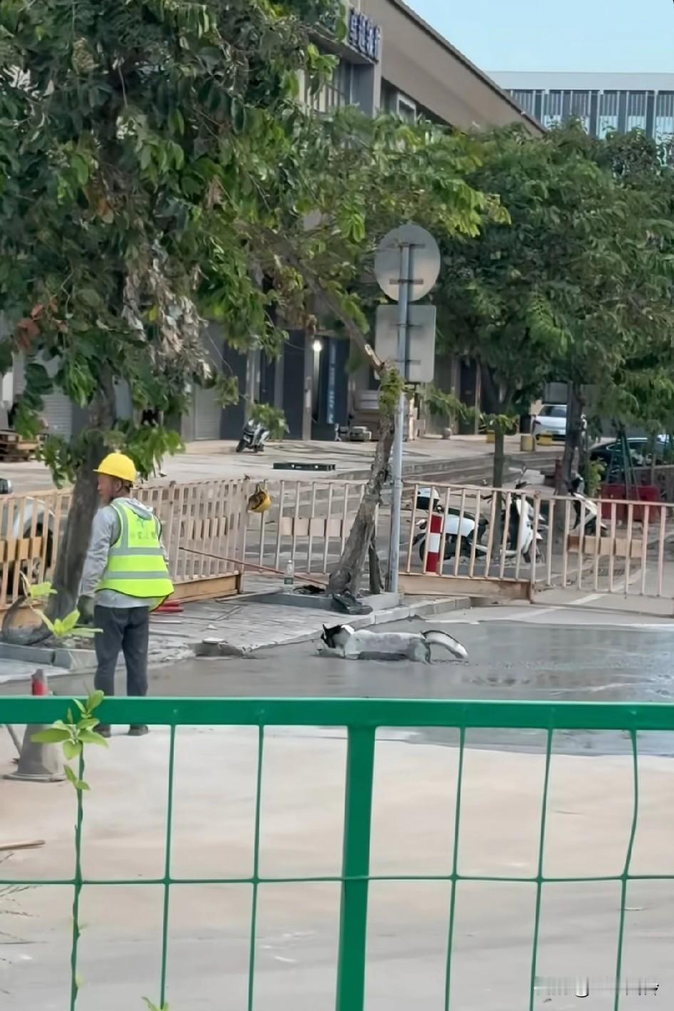 几小时后，就可以跟大酒店门口的石狮子一样了，屁眼会不会被堵起来，尿道有没有堵塞