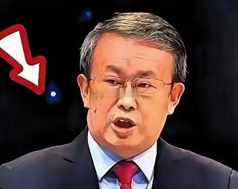 北大王院长在会议上呼吁“立法严管境外资金”，想以此为“壮士断腕”立威，没想到被项