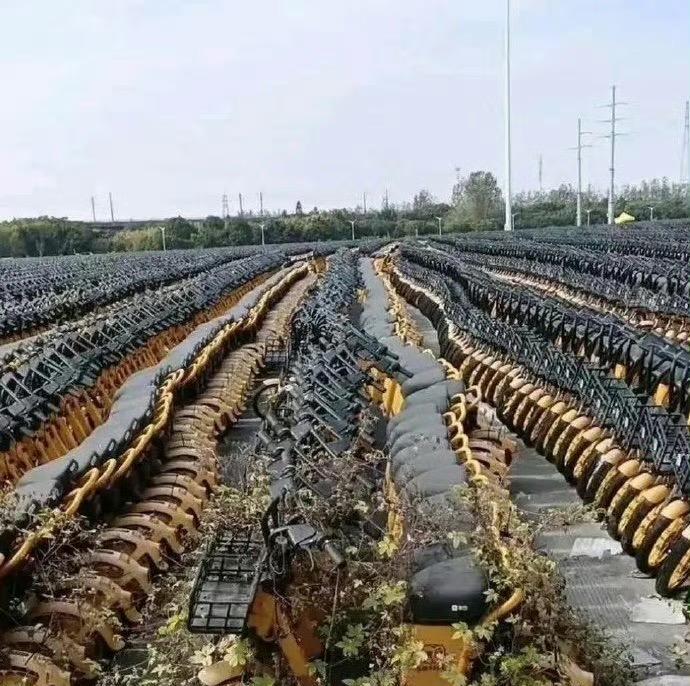 路边共享电动车都长草荒废了，看着真心疼！明明还带着完整车架，却在角落积灰生锈，不