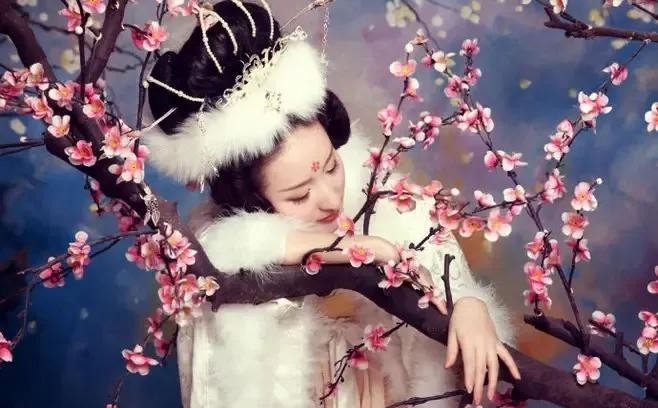 一次，唐玄宗宴请兄弟们欢宴。梅妃舞毕，手执金盏为诸王斟酒，谁知一位王爷竟然在桌下