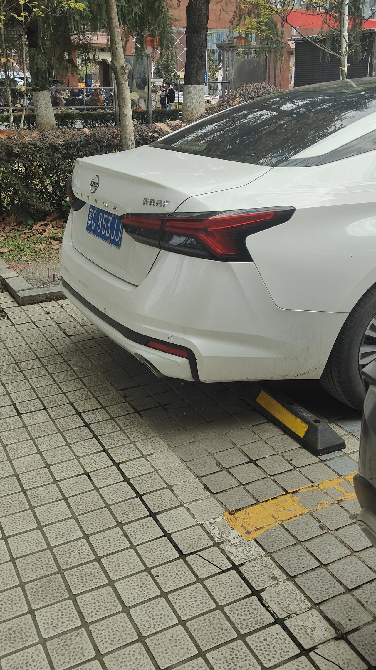 看屁股能不能看出来这是轩逸还是天籁？