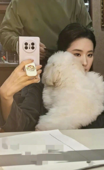 刘亦菲的狗狗挂件好可爱，看了半天还以为是毛领