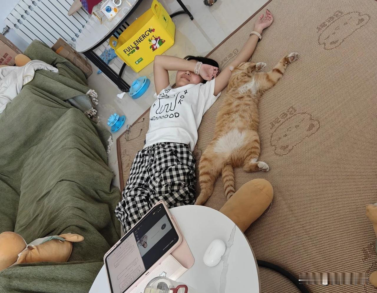 为什么，猫会模仿人类主人的行为？就是觉得好玩！猫模仿人类的行为，大多数都是浅