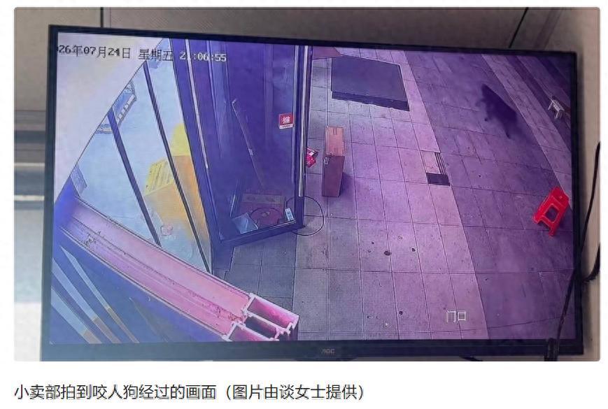 武汉蔡甸区，一名两岁半的小女孩跟着妈妈外出时，一只恶犬突然窜出来，将女孩扑倒在地