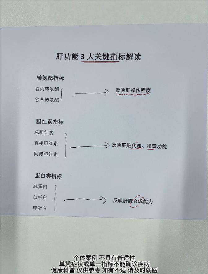 肝功能3大关键指标解读。1.转氨酶水平：转氨酶指的是谷丙转氨酶和谷草转...