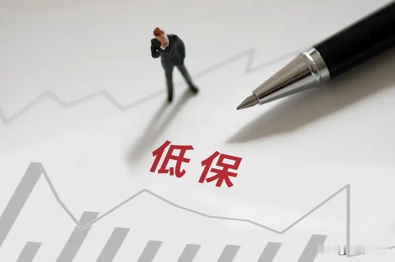 现在人社局和民政局查低保，简直太严了，只要低保户银行卡里突然有大额资金进账，别说