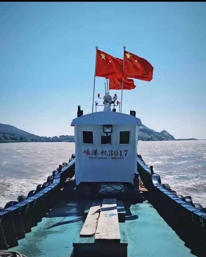 “决不允许立陶宛，韩国，日本，美国船只悬挂五星红旗，其他国家船只悬挂必须经过我国