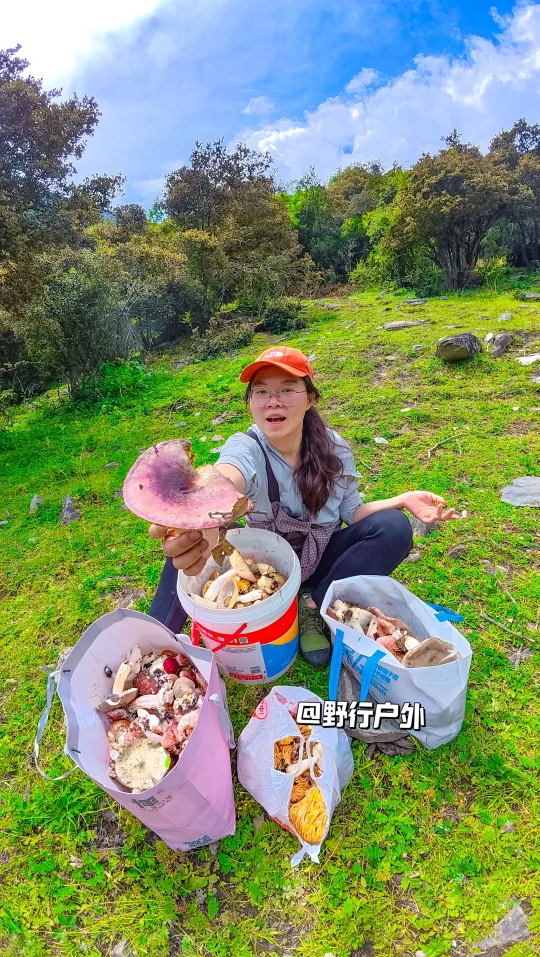 成都周边捡菌子，桃坪羌寨VS四姑娘山