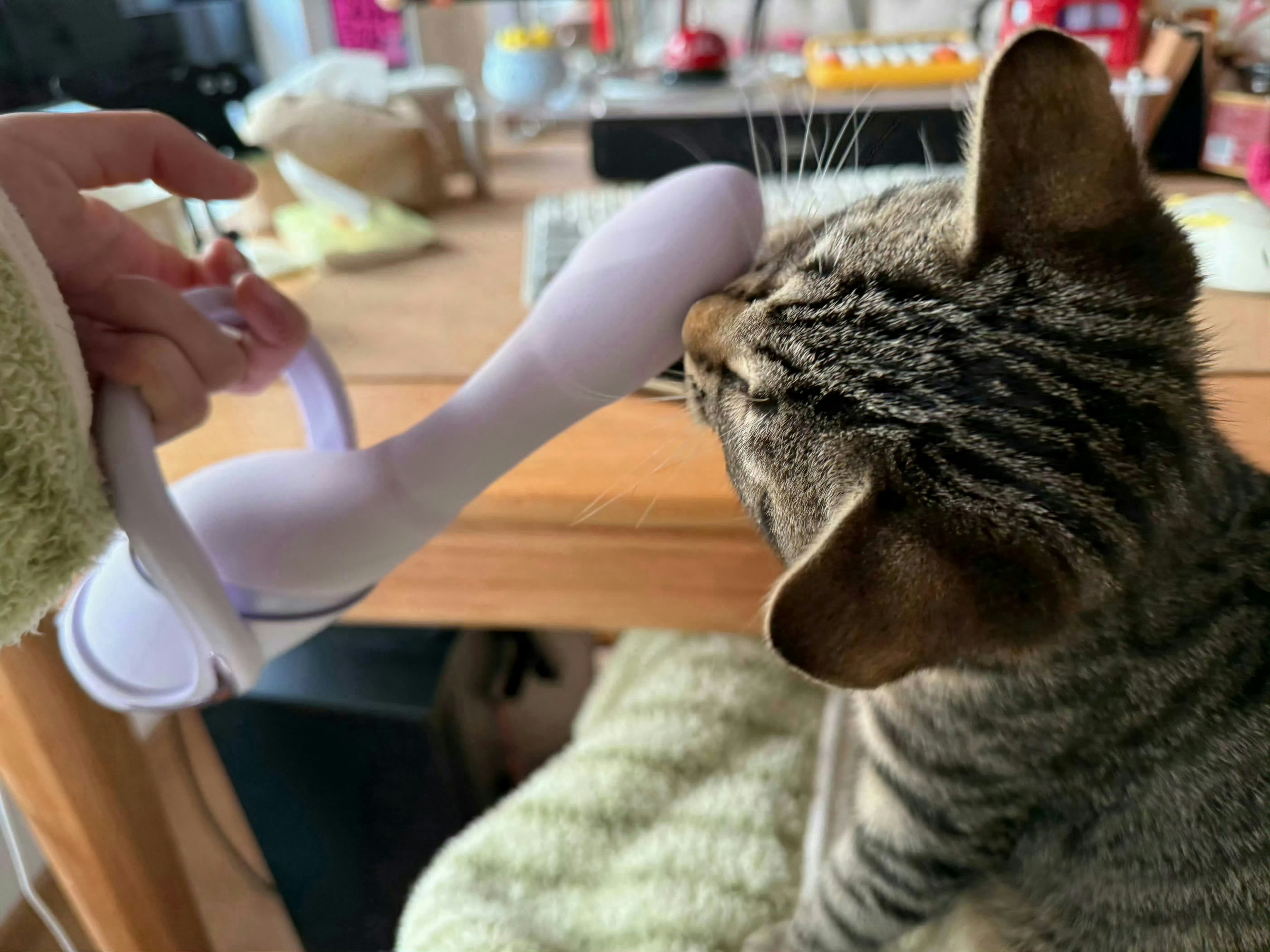 好好玩的逗猫棒​​​​​​​​​