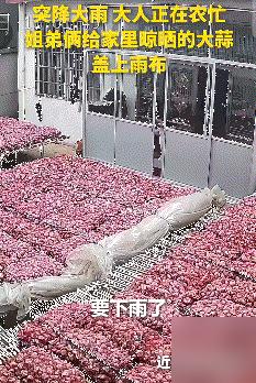 上人民日报了。江苏徐州这俩小娃真的太招人疼了，9岁的姐姐领着7岁的弟弟，赶在