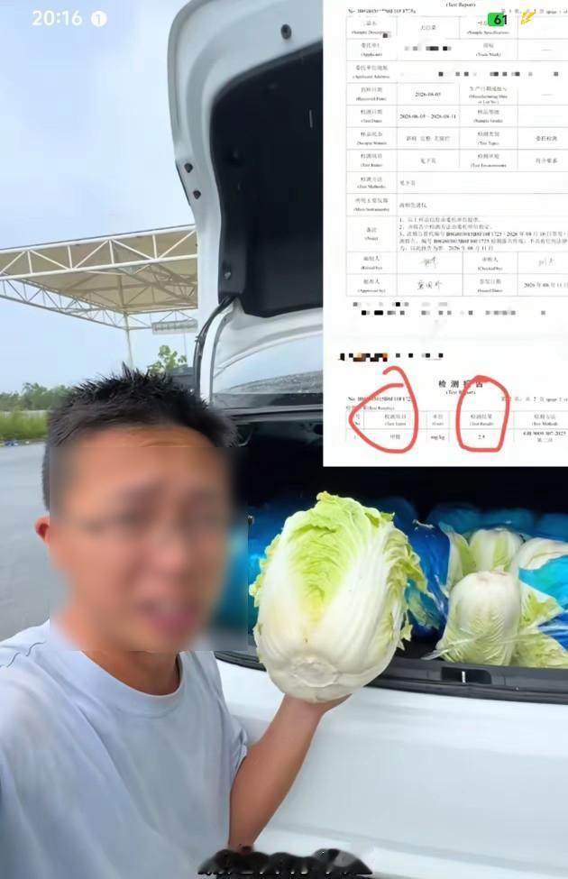 7月就开始在市场偷偷检测，8月跨省追着大货车跑，这个钓鱼佬曝光甲醛白菜的套路，比
