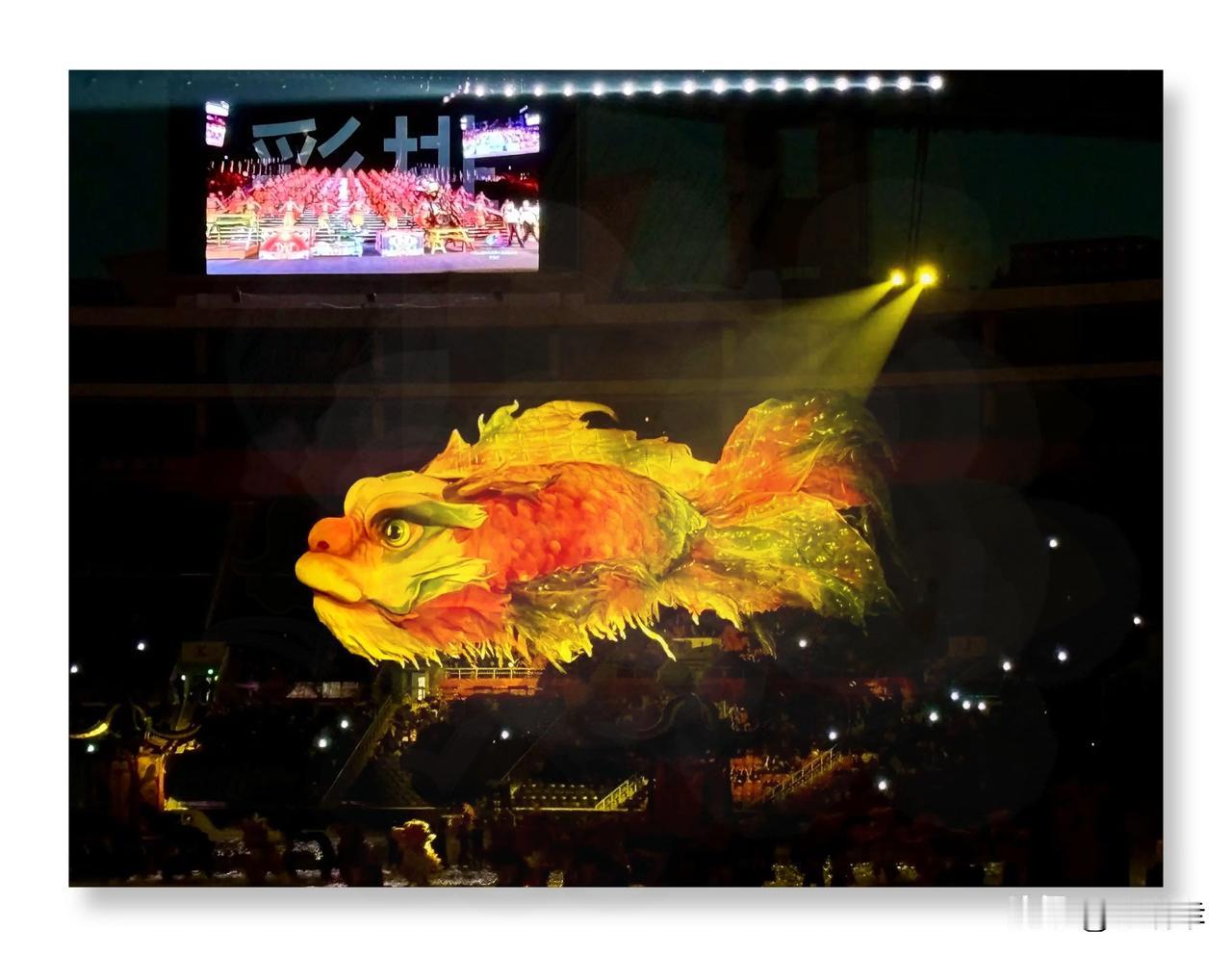 全运会开幕式最大的一个谜团终于揭开了！​相信很多人看了开幕式中那条巨大的鱼，都