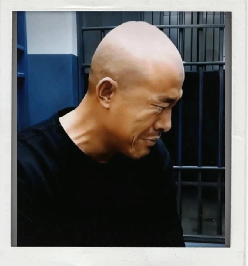 二审现场直击！金毛涕泪横流哭到崩溃，早知今日何必当初他哭得比金毛犬还