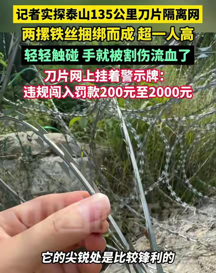 [吃瓜]“泰山铁丝网”的事怎么看？[思考]这么说吧，历代盛世，只听说过“封禅