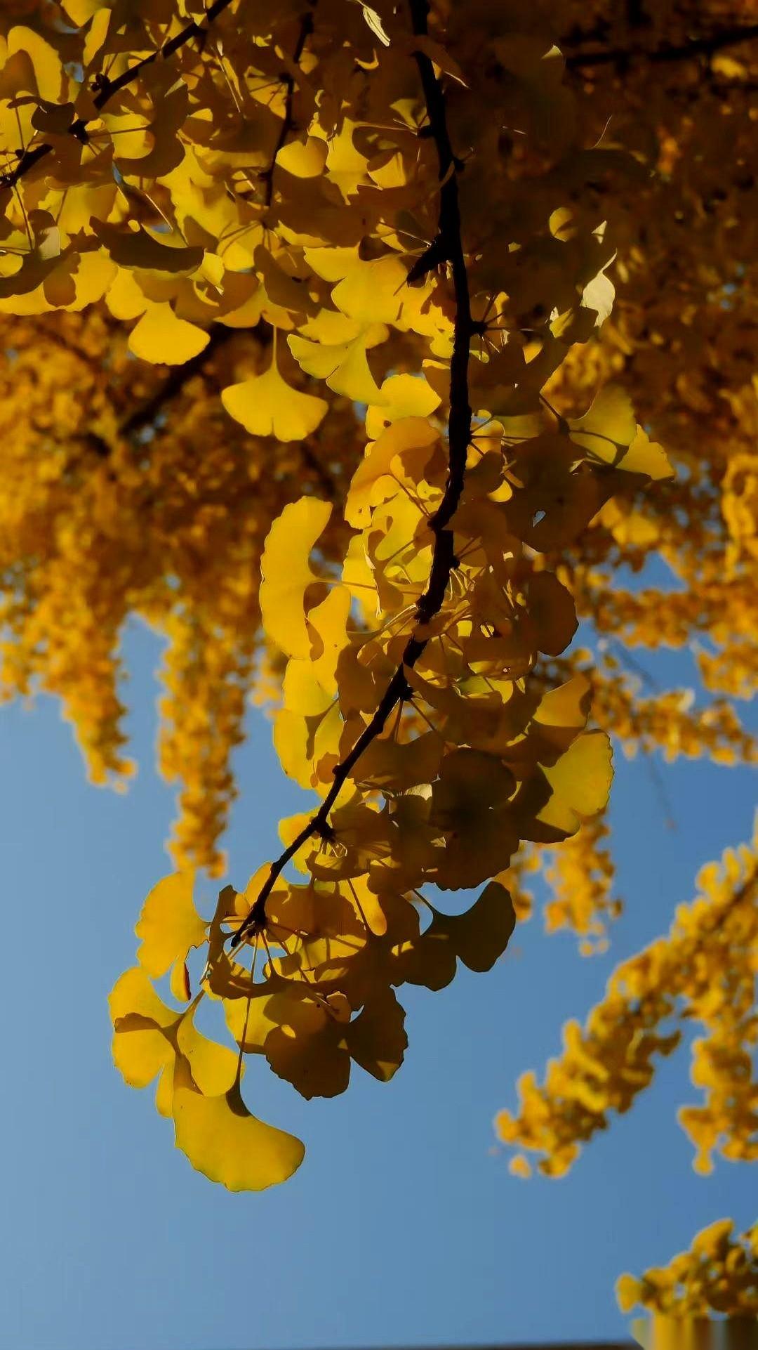 他前妻，今天约我了。一个陌生的号码，一条开门见山的消息。我看着手机，笑了。果