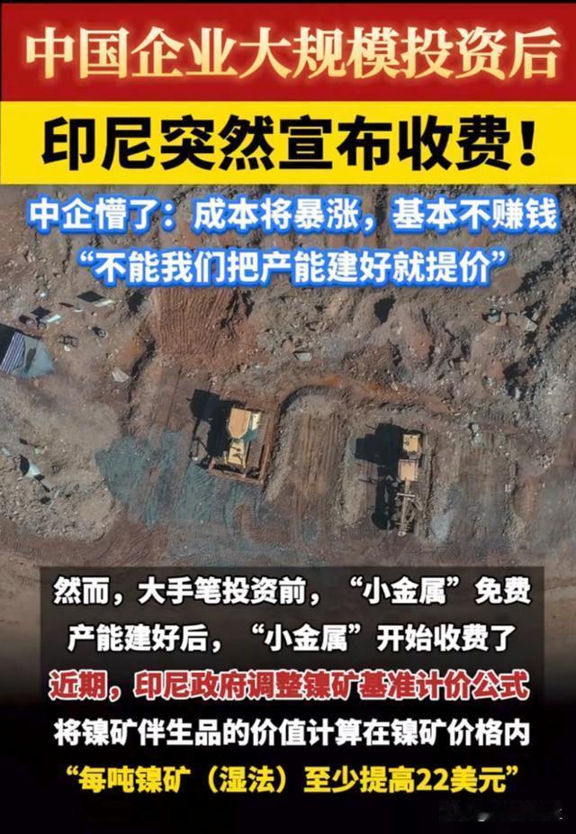 以规则破局，以实力立威——中方反制印尼镍矿收割的应对措施印尼能源与矿产资源