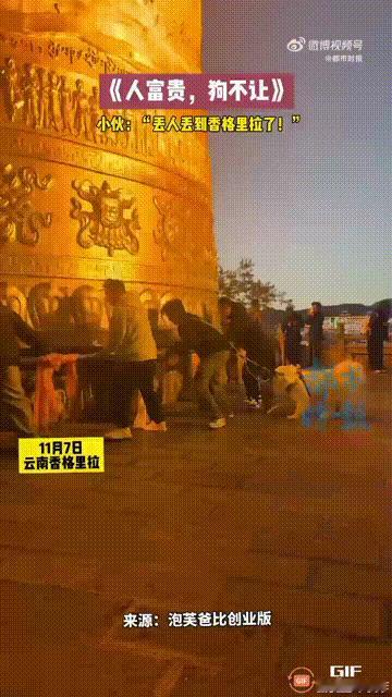 云南迪庆香格里拉景区内，一名男子想要打卡巨型转经筒，为自己求得好运气，谁料他的小
