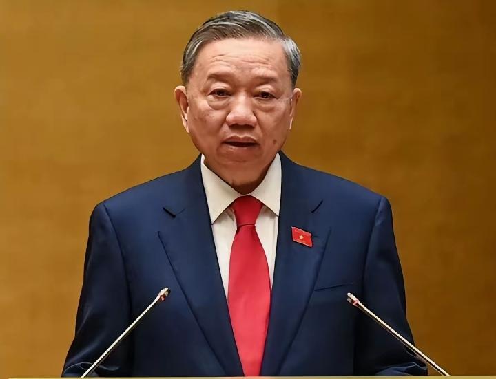 刚从中国回去的苏林，转头发现越南面临大麻烦。先说半导体。近些年越南一直把芯