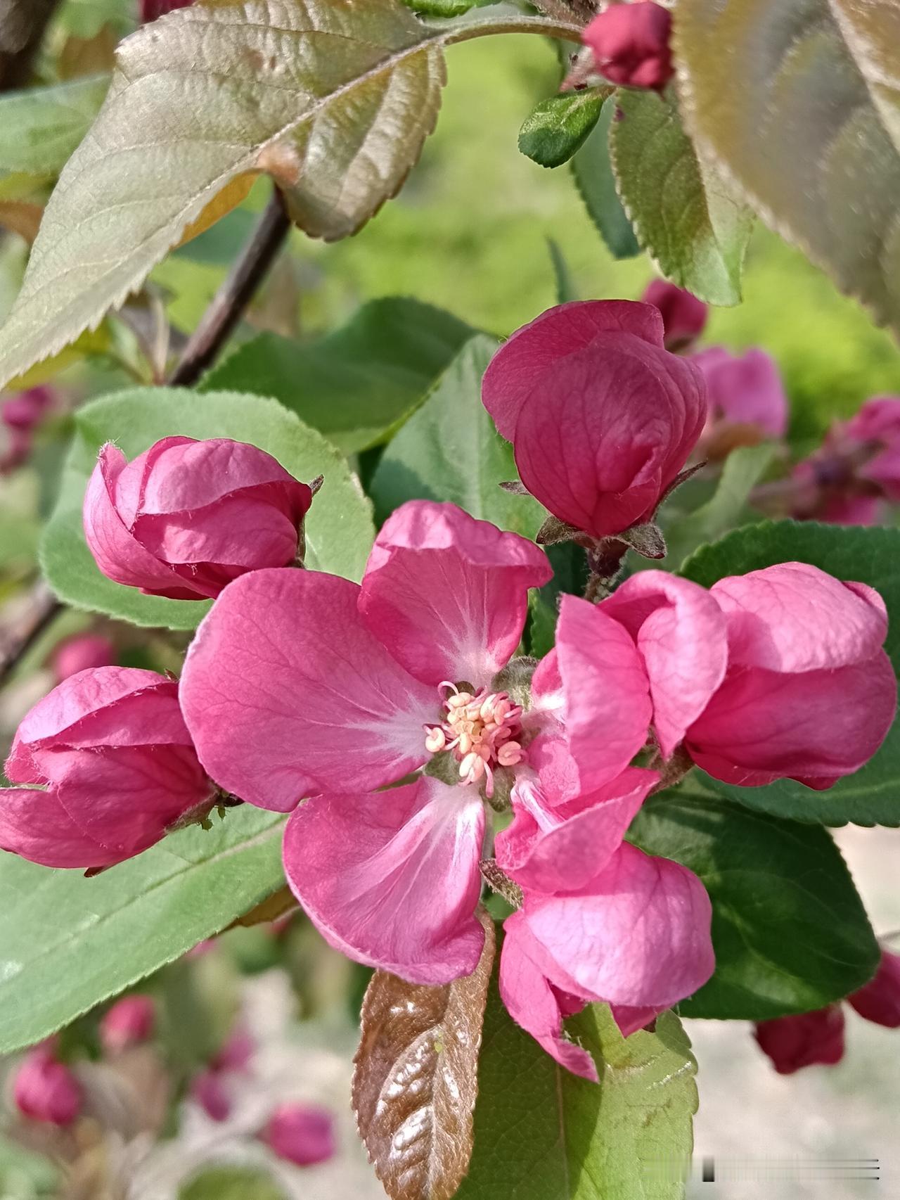 男人翻身9条铁律，越简单越管用​​1、头像用山水，手上戴块表，先把气场立住。