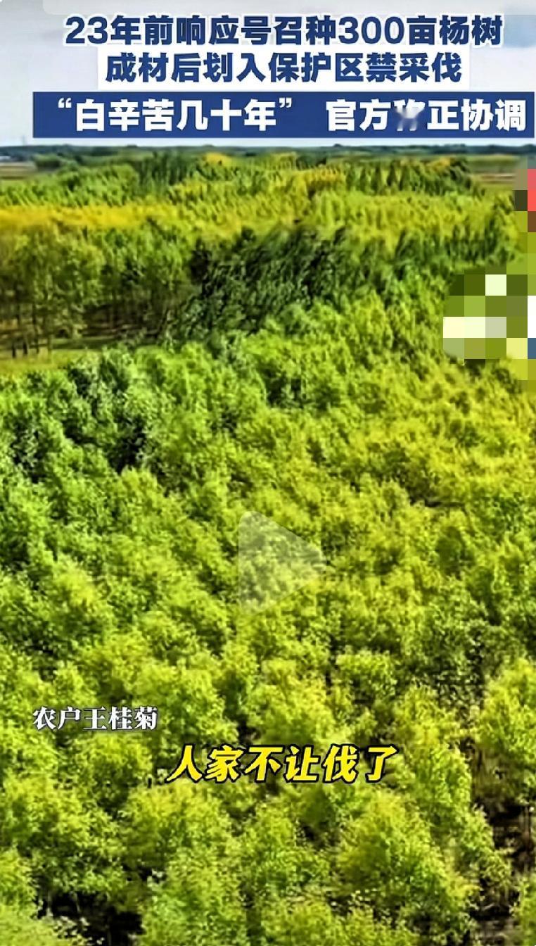 看到这篇新闻，我彻底沉默了。黑龙江一位71岁农户，响应当地号召，在23年前种