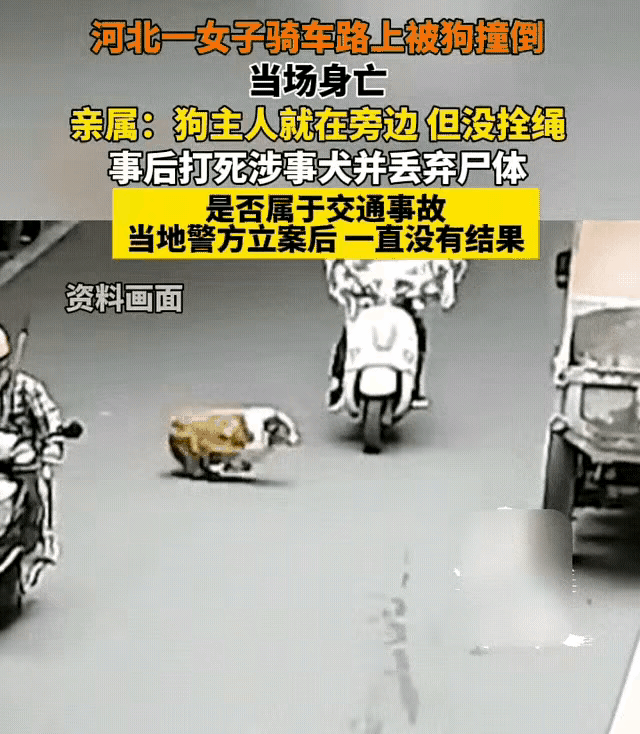 狗主人要判刑了，这是一个刑事案件。