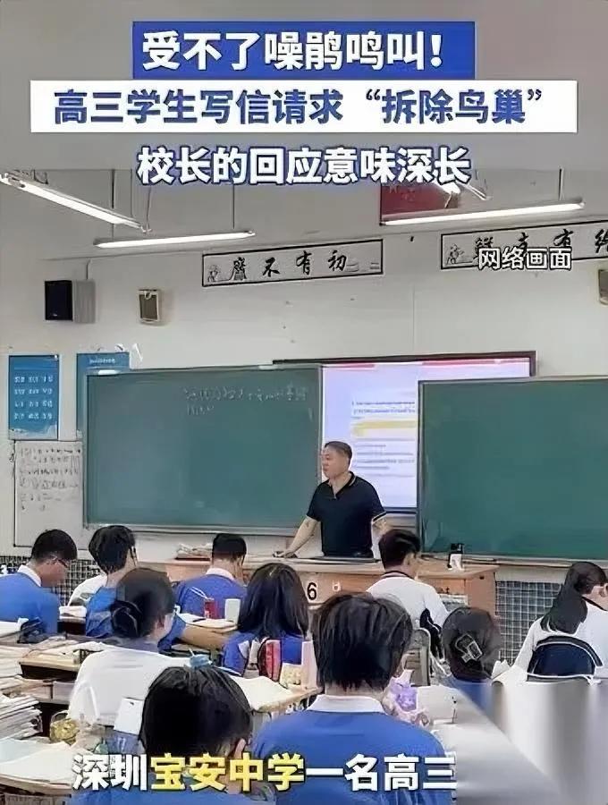 这两天刷到个事，直接愣了。深圳高三生因为树上噪鹃叫，写纸条给校长要端鸟窝