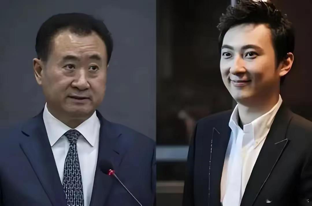 我问了万达的老员工，王思聪卖电竞真是帮老王吗？对方掸了掸烟灰：那小子把命根子