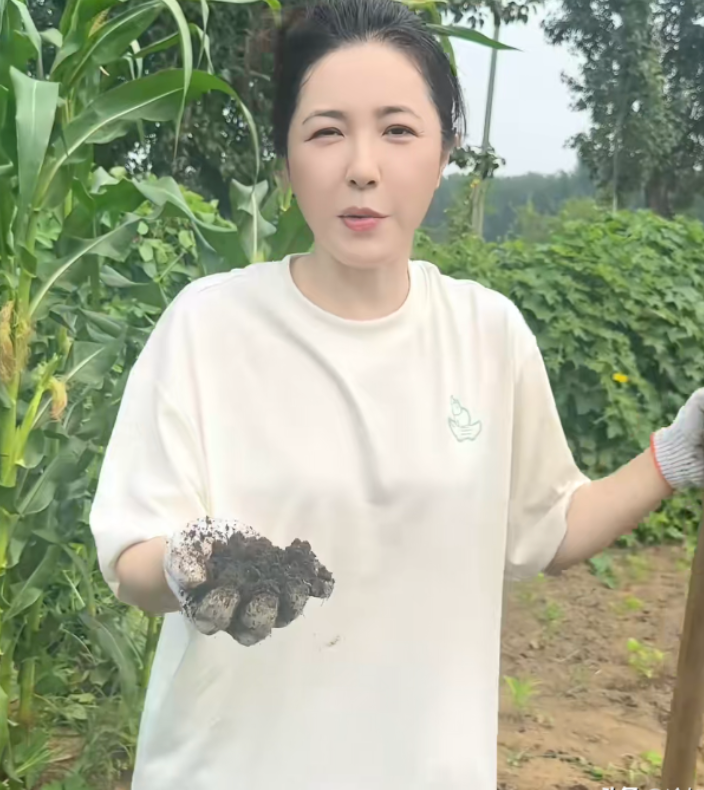 曾黎今年都49岁了，至今未婚未育。虽然之前有过几段恋情，但是最终都分手了。这么漂