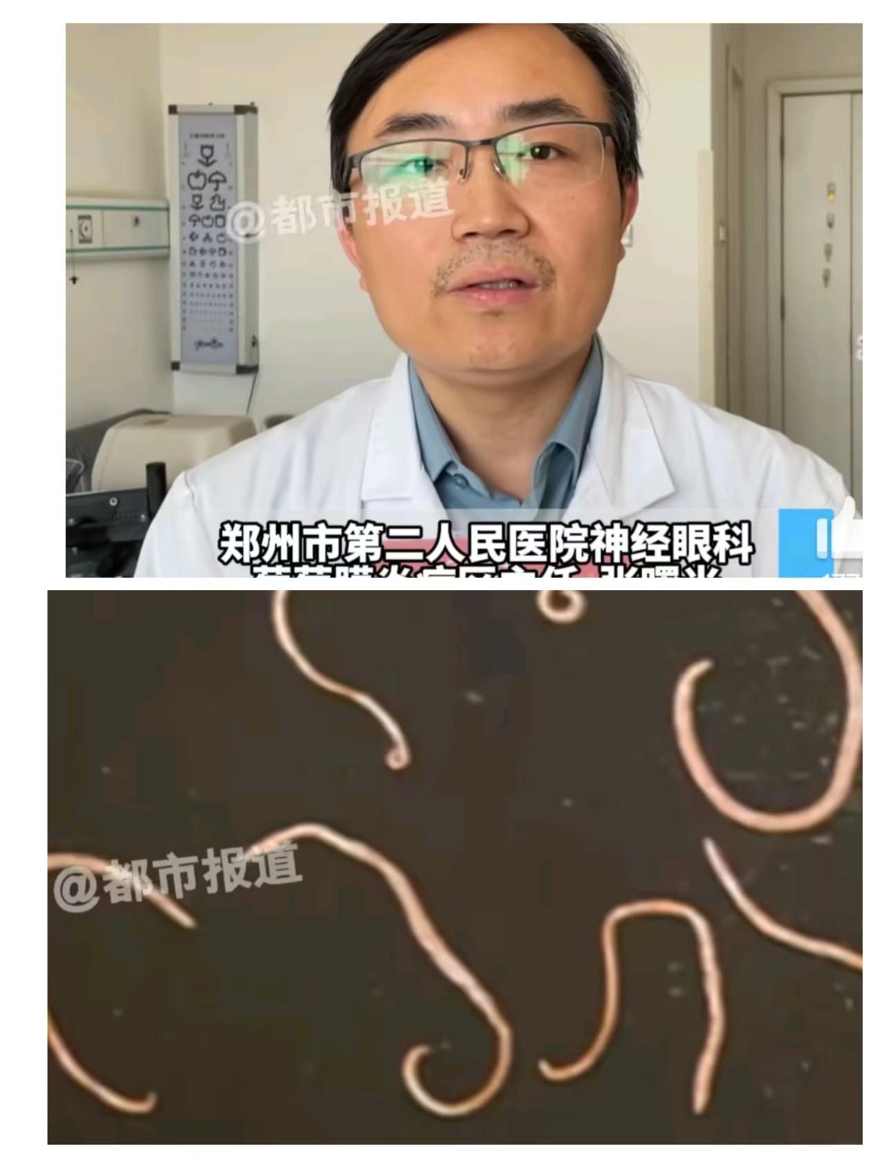 看过来，家长注意力了，家里有娃娃撸猫的更要休息，一个男孩撸猫，搞出大事情了。