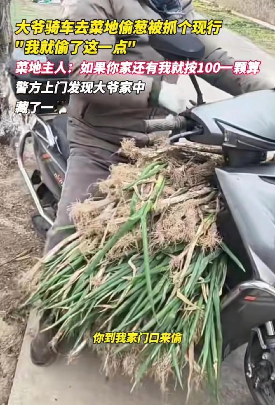 脸都不要了！江苏，女子在自家菜地当场抓住偷葱男子，男子被抓后毫无悔意，还辩称“就