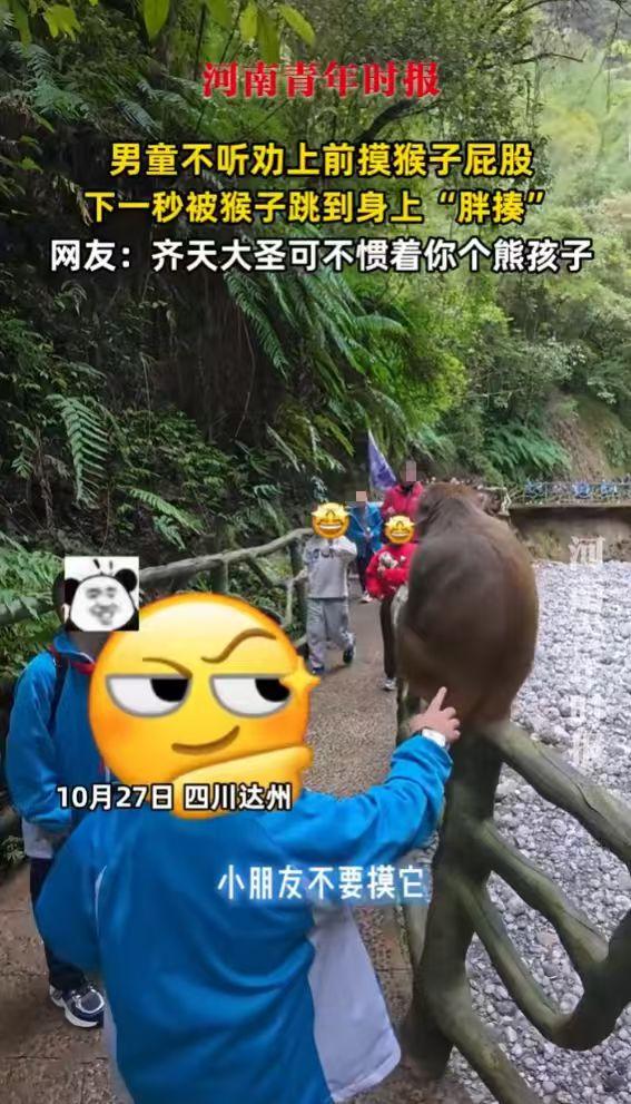 “这下后悔了吧！”10月27日四川达州有一男孩爬山时遇到猴子，不顾导游劝阻上前摸