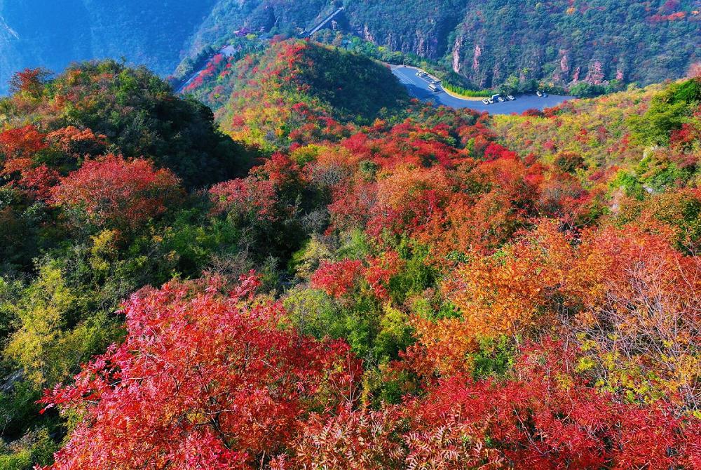 汉赵帝国大司马刘曜攻陷晋帝国都城长安外城，晋帝国大都督麹允、尚书仆射索𬘭撤退到