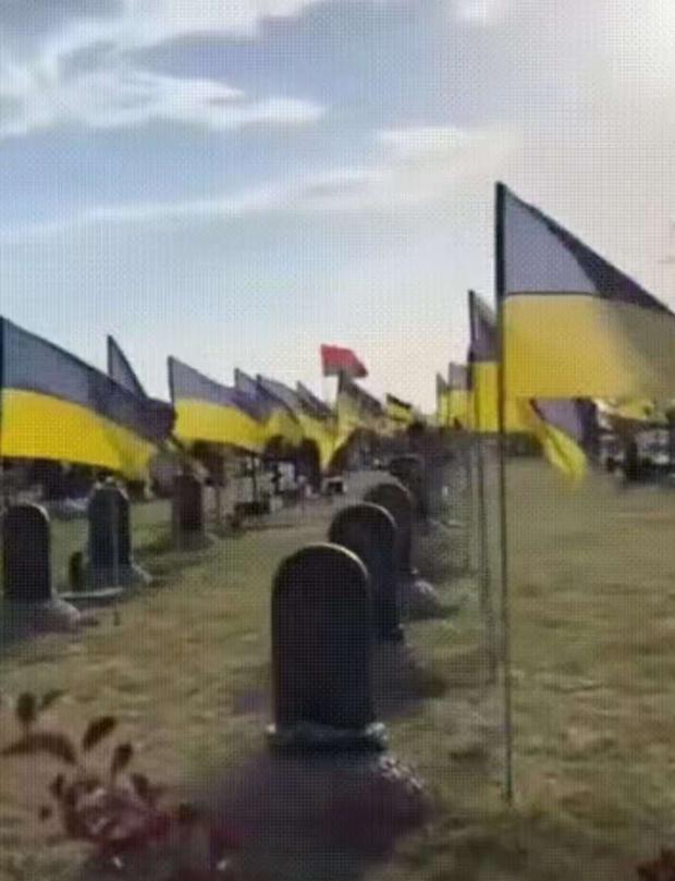 红军城战场清理开始！俄军遗体回收队发现惊人比例，乌军阵亡者中外国面孔超三成，个别