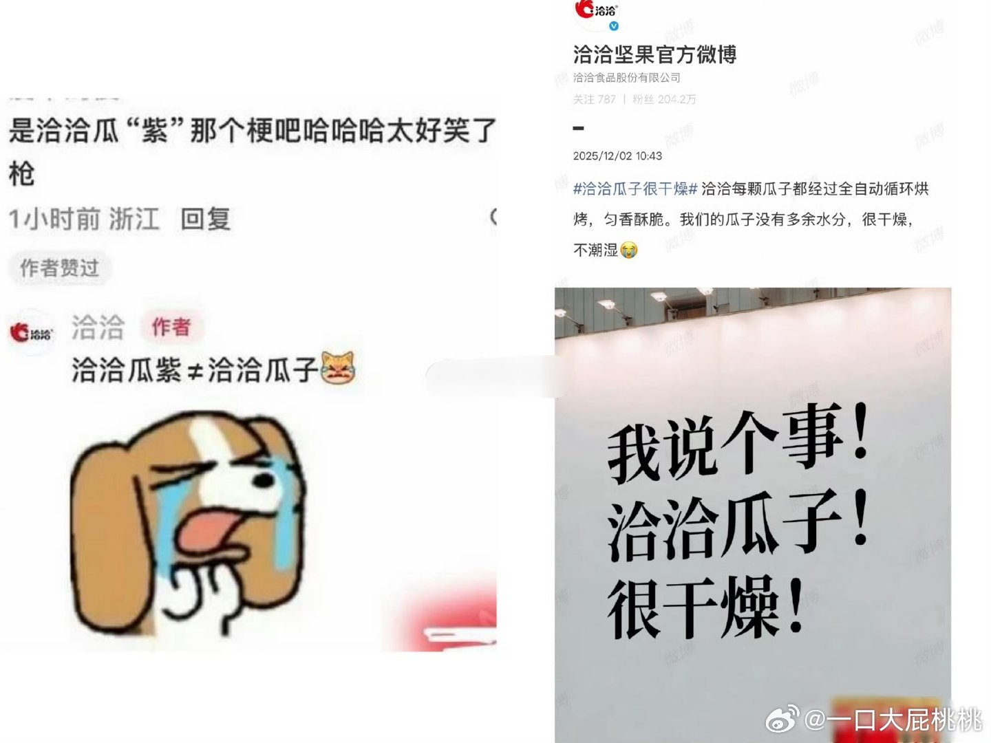 反正我不吃洽洽