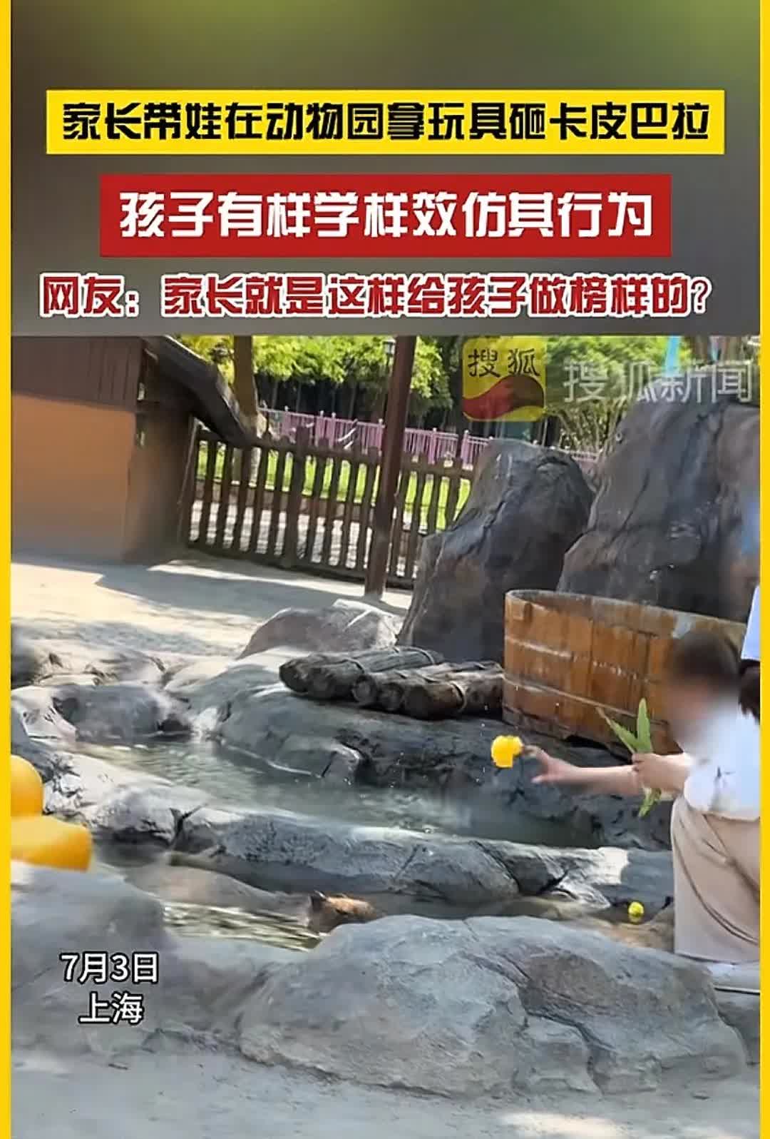 “简直太过分了”，近日上海野生动物园发生了让人气愤的一幕。7月3日上海野