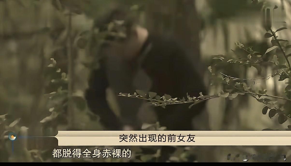 小伙喜欢被人虐待的感觉，结果被前女友带上山，脱光衣服绑在树上后开始求救。此时，前