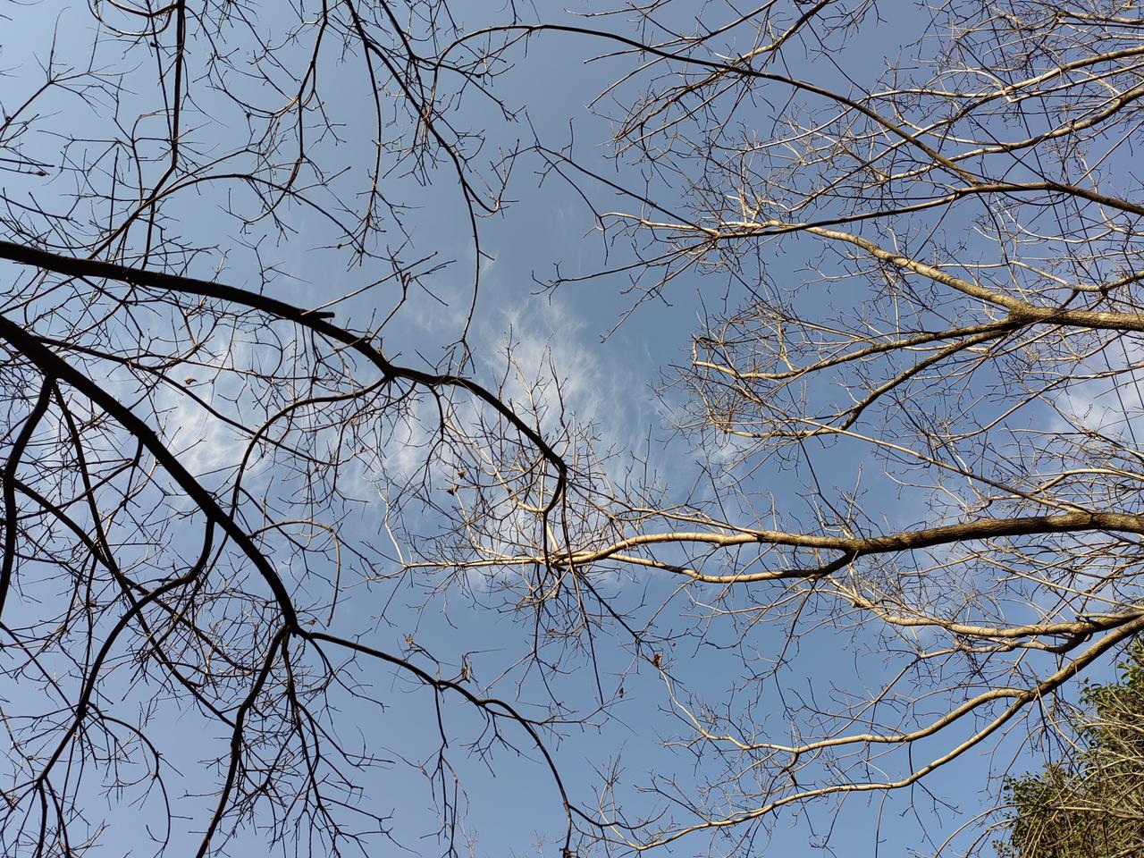 某单位来了一位“临时工”，不要工资，每天按时上下班，分派什么工作都接受，不喜欢与