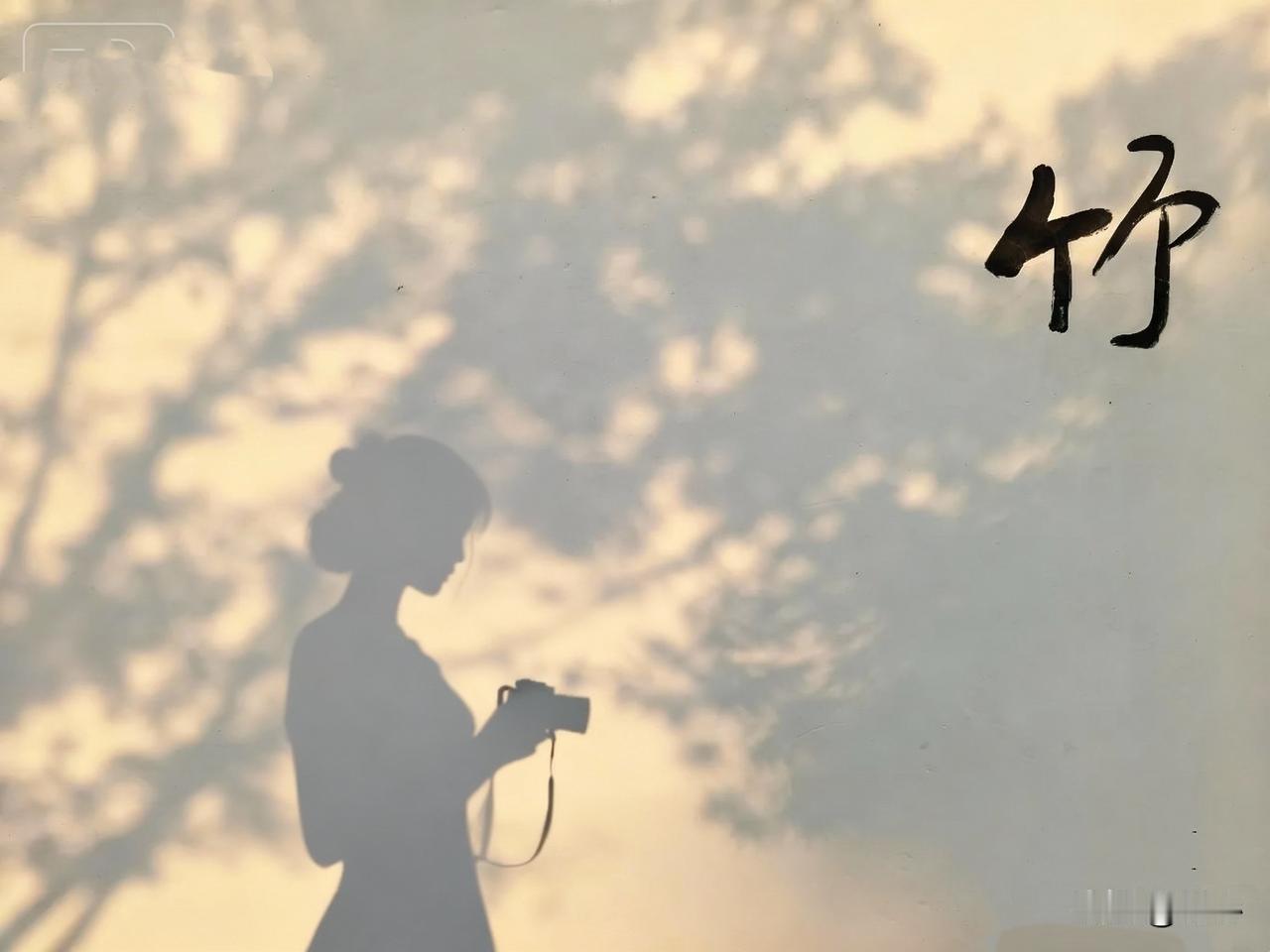 拍照，是记录事实，是客观呈现；摄影，是表达自我，是主观塑造。光，所到之处，一